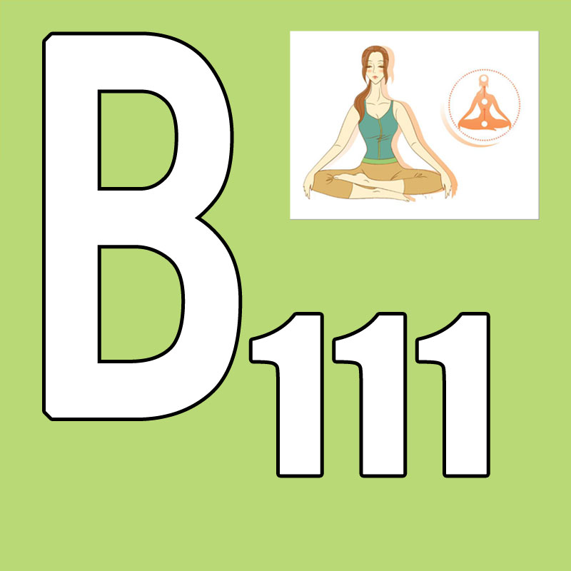 핫세일 최신 출시 2026.Q1 신규 코스 BB 111 - Pilates Yoga And Tai Chi 리뷰 및 가격